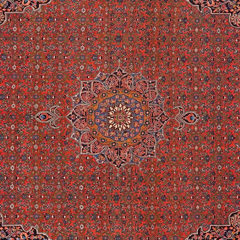 Bidjar · Handgeknüpft – Rot, 313x212 cm