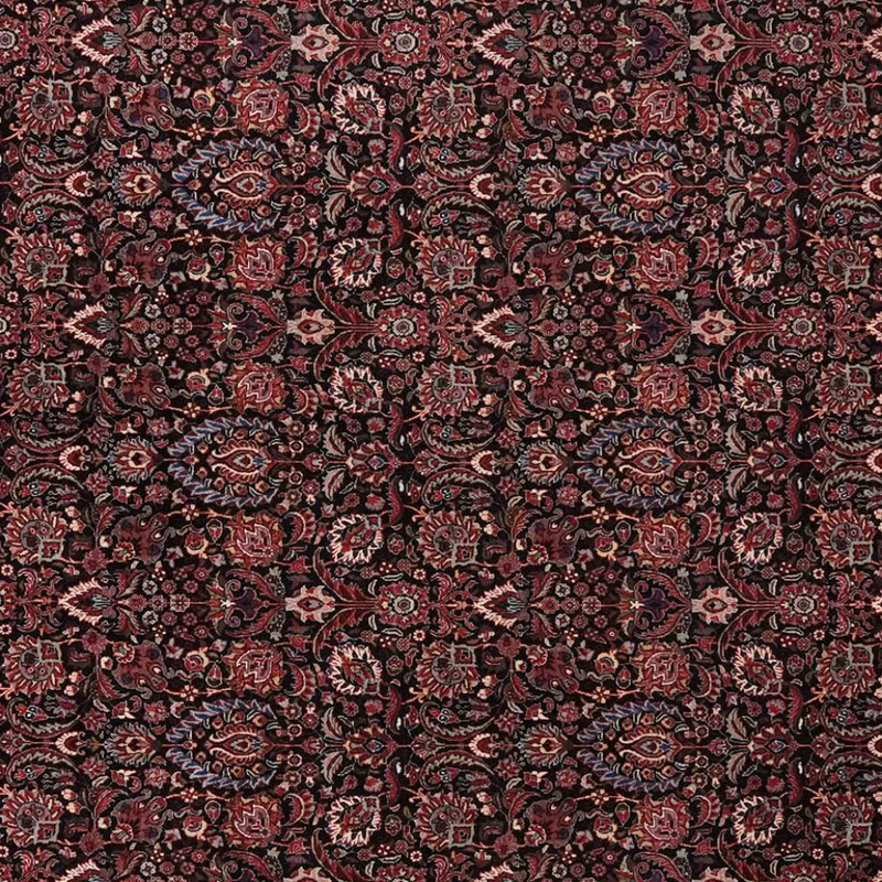 Bidjar · Handgeknüpft – Schwarz, 344x251 cm
