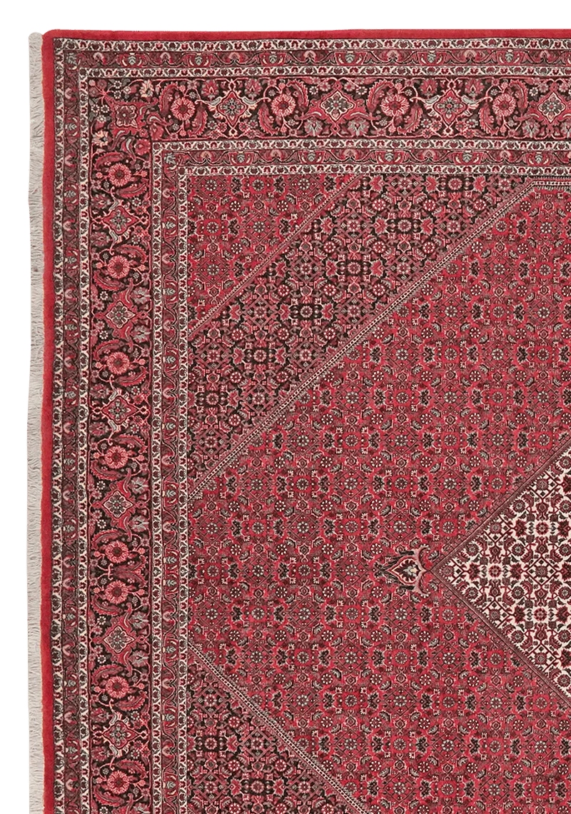 Bidjar · Handgeknüpft – Rot, 314x255 cm