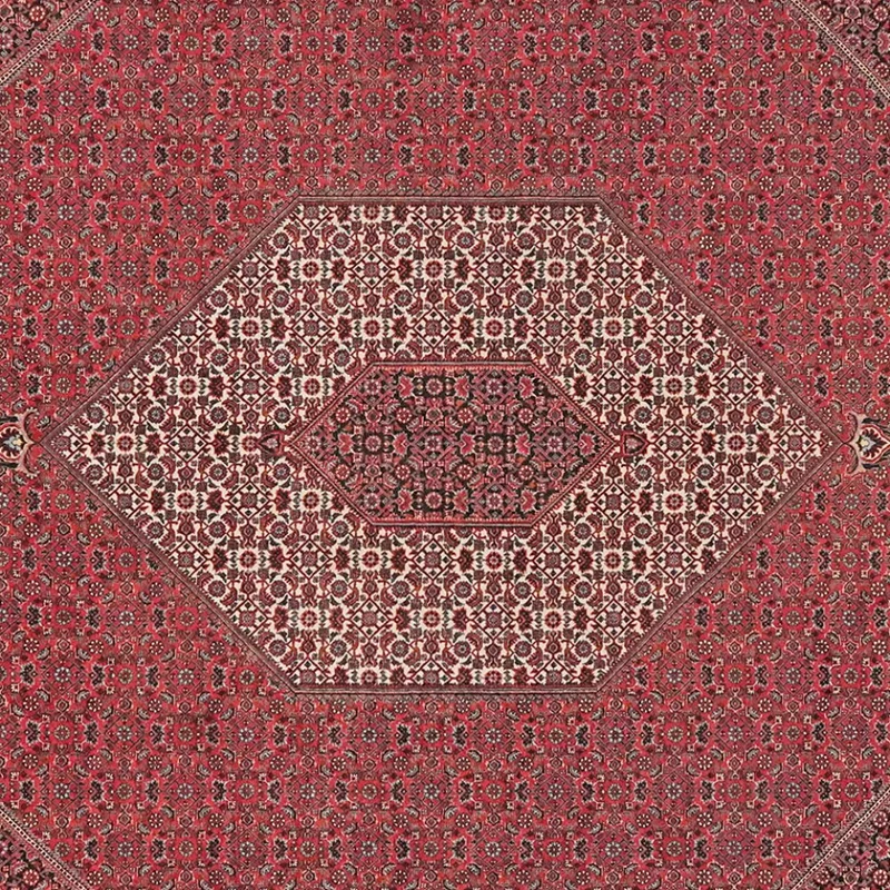 Bidjar · Handgeknüpft – Rot, 314x255 cm