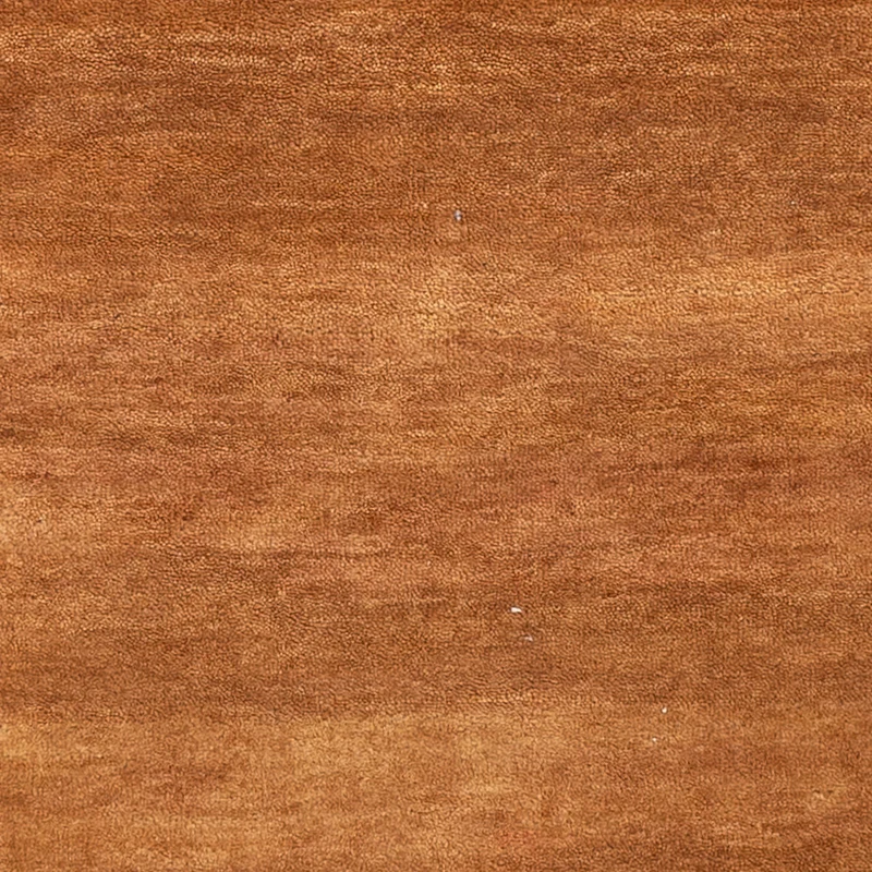 Indo Loribaft Teppich 90x160cm - Orientteppich - terrakotta