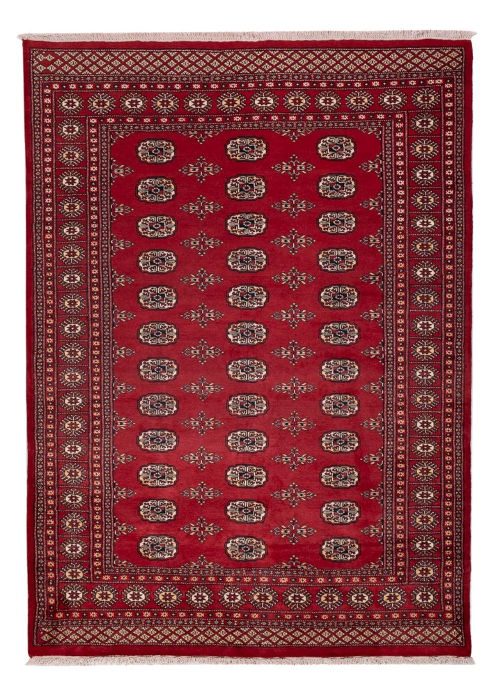 Pakistan Teppich 171x240cm - Orientteppich - rot
