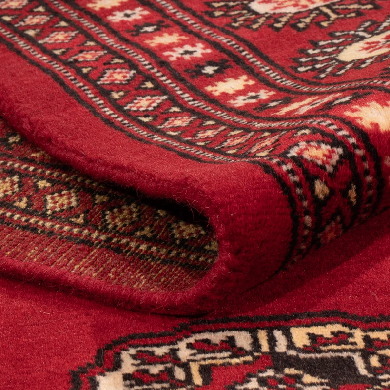 Pakistan Teppich - 171 x 236 cm - rot
