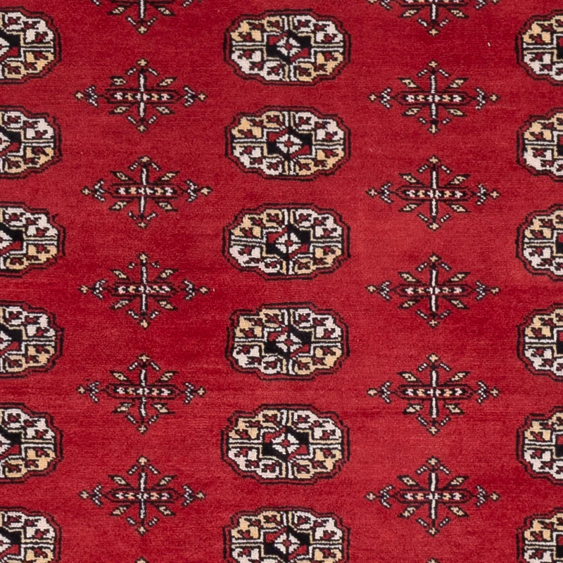 Pakistan Teppich - 168 x 243 cm - rot