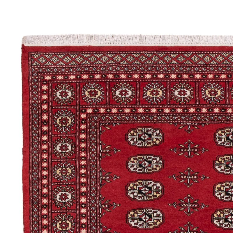 Pakistan Teppich - 168 x 243 cm - rot