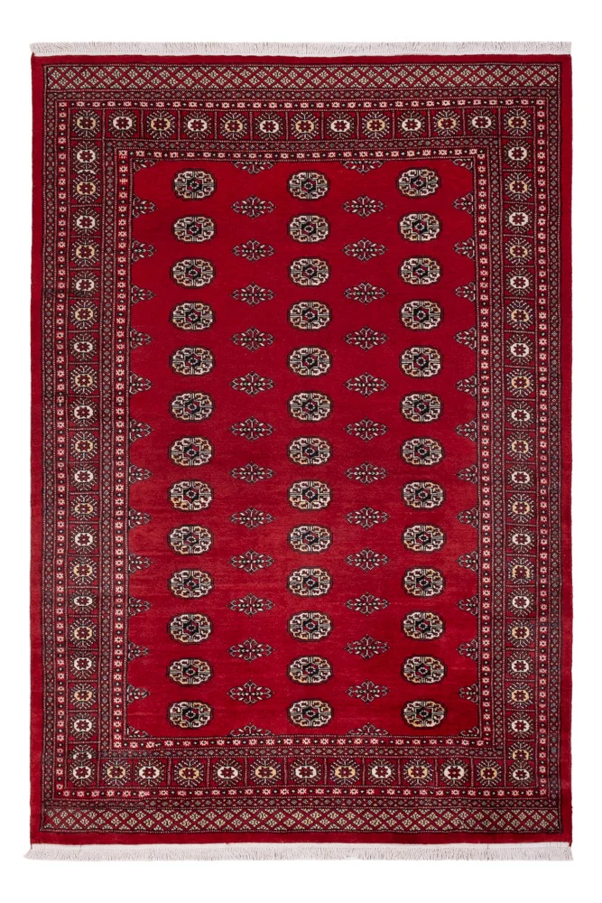 Pakistan Teppich 164x239cm - Orientteppich - rot