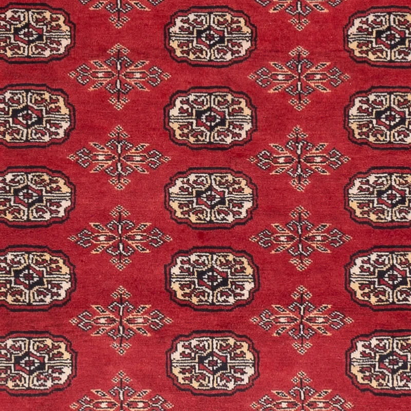 Pakistan Teppich 159x250cm - Orientteppich - rot