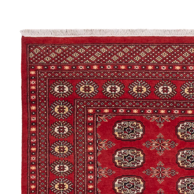 Pakistan Teppich 159x250cm - Orientteppich - rot