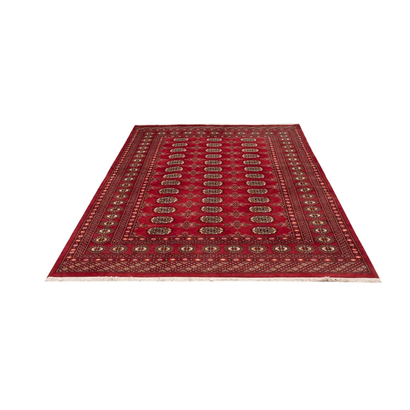 Pakistan Teppich 159x250cm - Orientteppich - rot