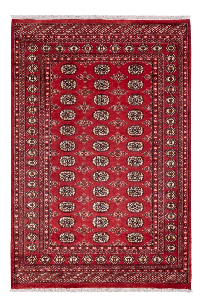 Pakistan Teppich 158x237cm - Orientteppich - rot