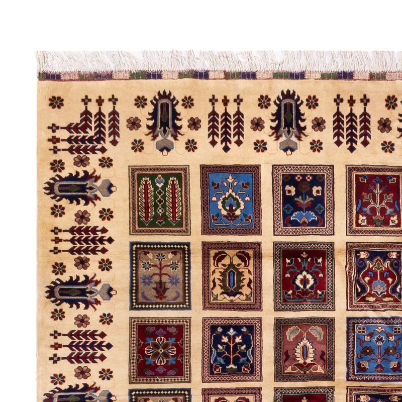 Afghan Teppich 250x340cm - Orientteppich - mehrfarbig