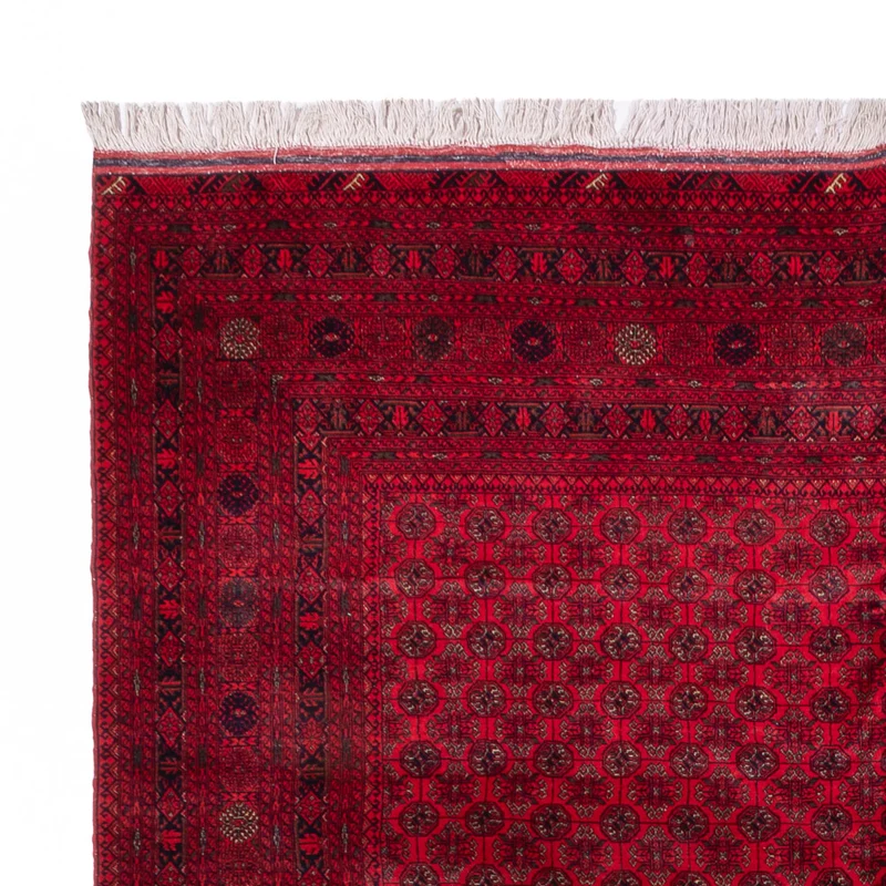 Buchara Teppich 248x336cm - Orientteppich