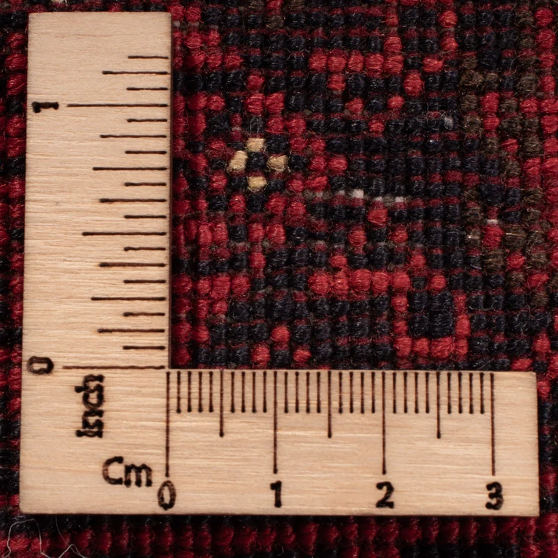 Buchara Teppich 248x336cm - Orientteppich
