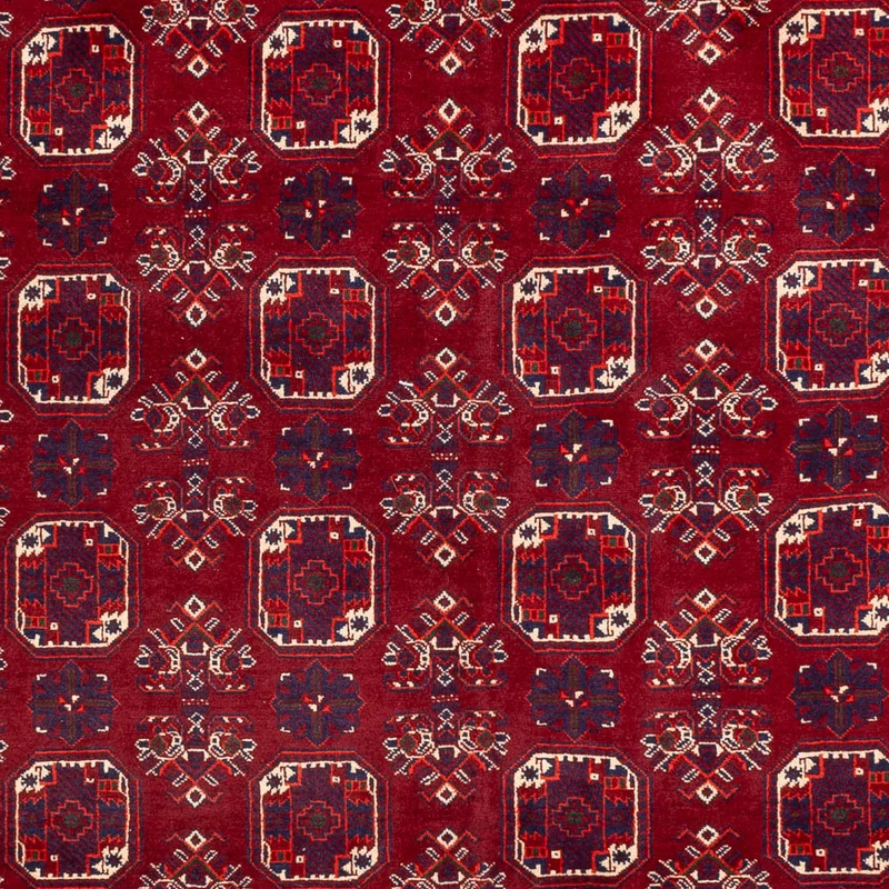 Buchara Teppich 197x288cm - Orientteppich - rot