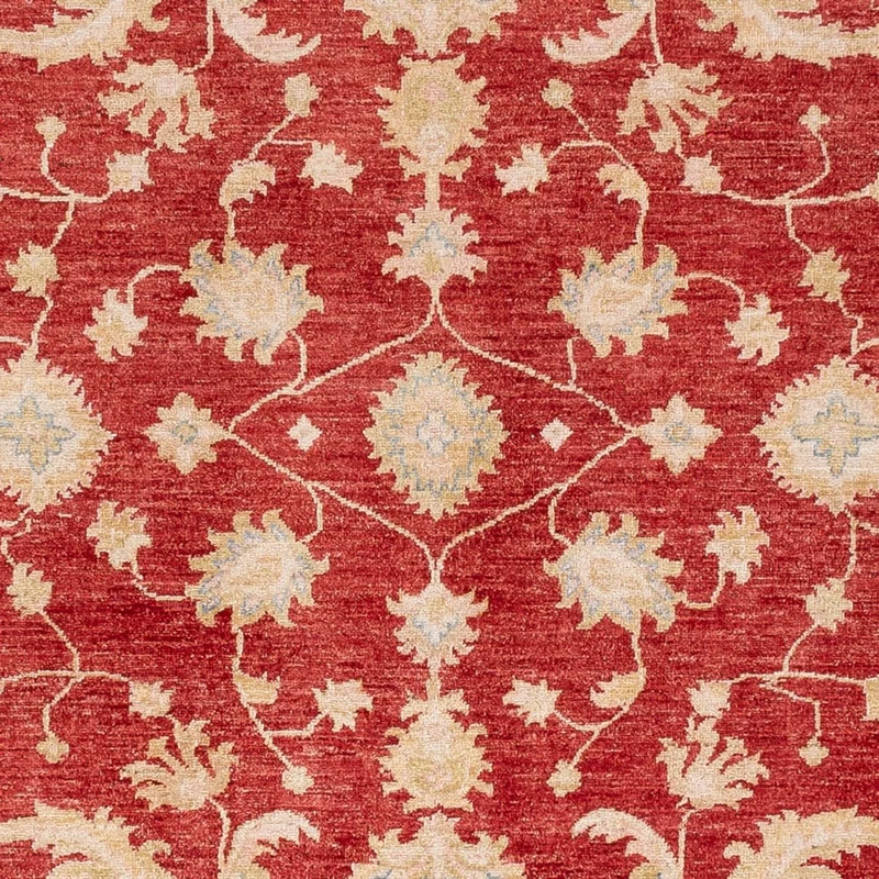 Ziegler Teppich - 253 x 294 cm - rot