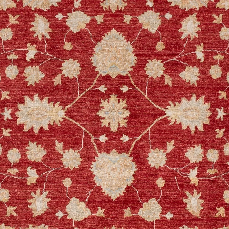 Ziegler Teppich 247x299cm - Orientteppich - rot