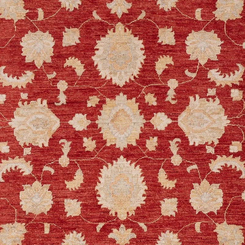 Ziegler Teppich - 250 x 303 cm - rot