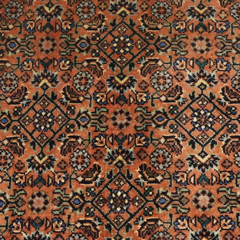 Bidjar Teppich 71x144cm - Perserteppich - dunkelbeige