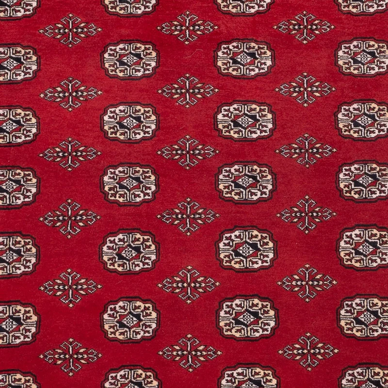 Buchara Teppich 200x290cm - Orientteppich - rot