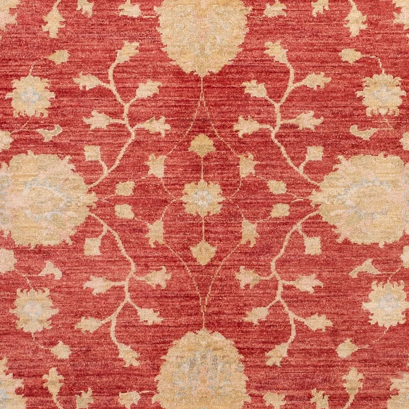 Ziegler Teppich - 207 x 291 cm - rot
