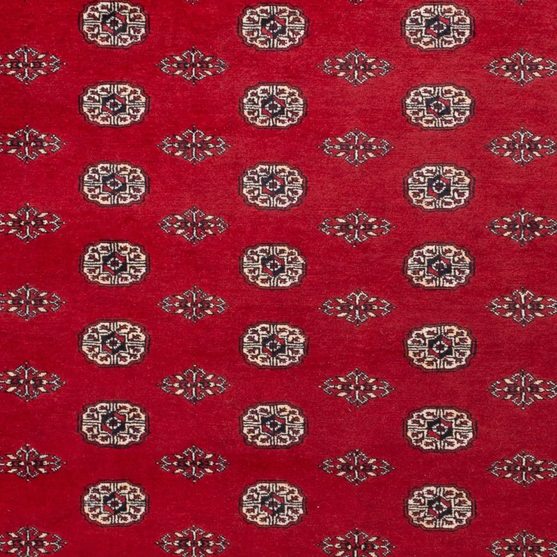 Buchara Teppich 248x323cm - Orientteppich - rot