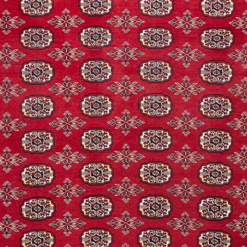 Afghan Teppich - Buchara - 248 x 322 cm - rot