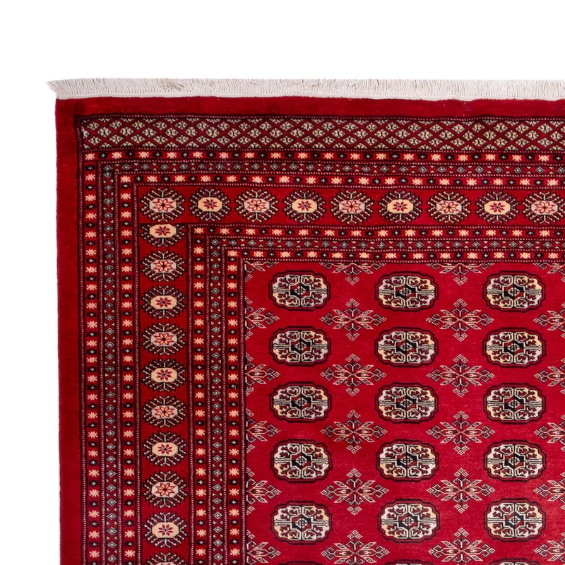 Afghan Teppich - Buchara - 248 x 322 cm - rot
