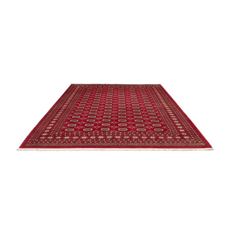 Afghan Teppich - Buchara - 248 x 322 cm - rot