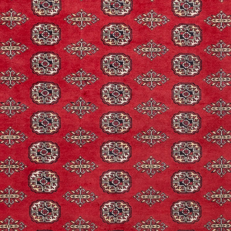 Buchara Teppich 248x315cm - Orientteppich - rot