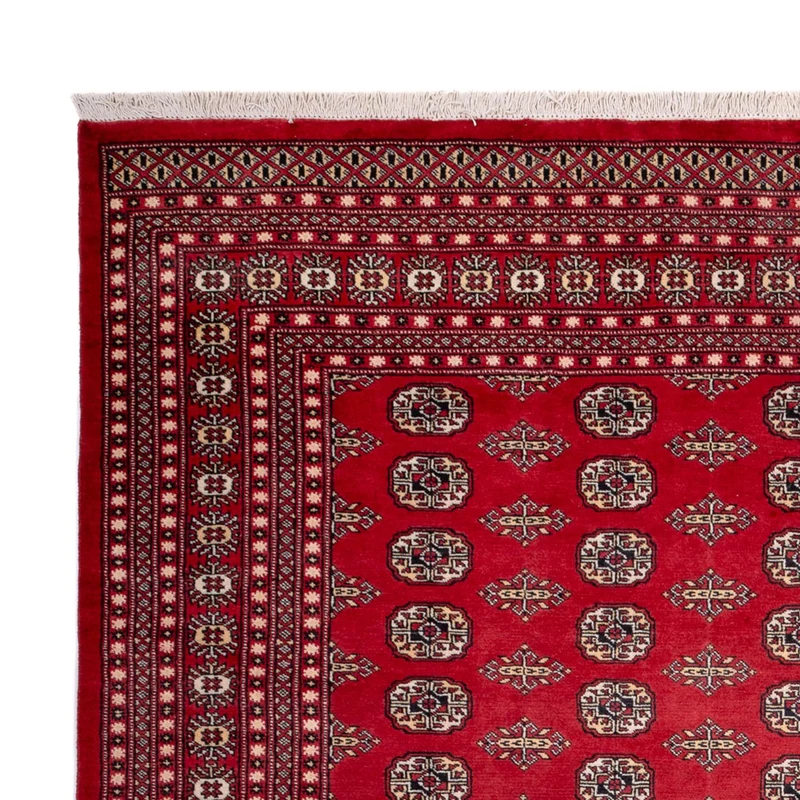 Buchara Teppich 248x315cm - Orientteppich - rot