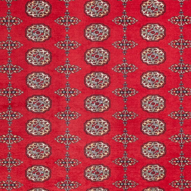 Buchara Teppich 250x310cm - Orientteppich - rot