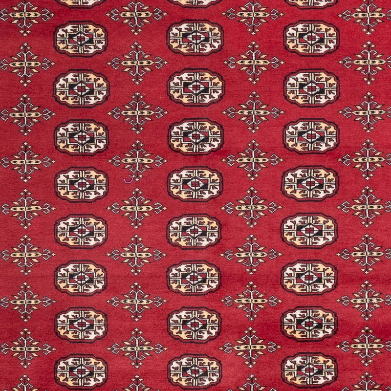 Buchara Teppich 245x312cm - Orientteppich - rot