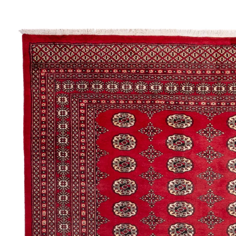 Buchara Teppich 248x309cm - Orientteppich - rot