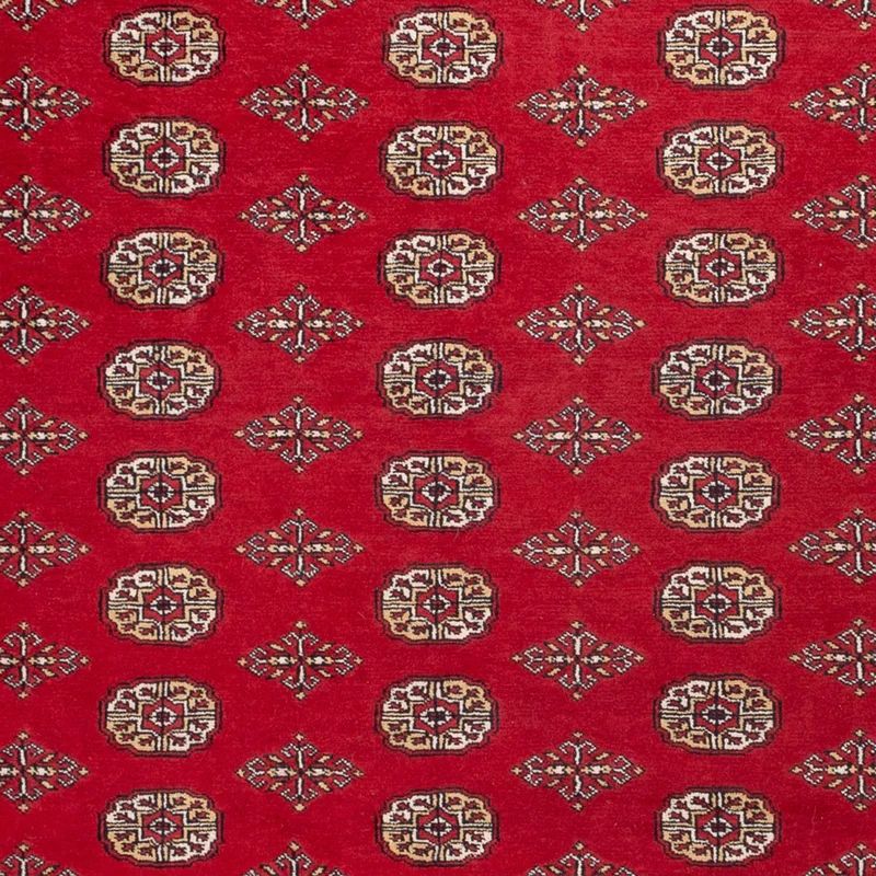 Buchara Teppich 252x305cm - Orientteppich - rot