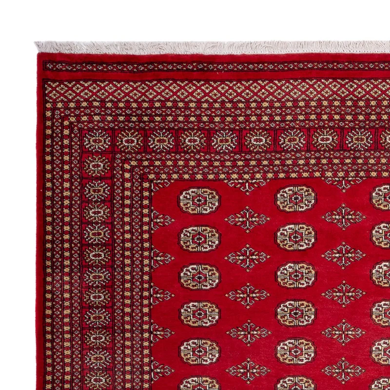 Buchara Teppich 252x305cm - Orientteppich - rot