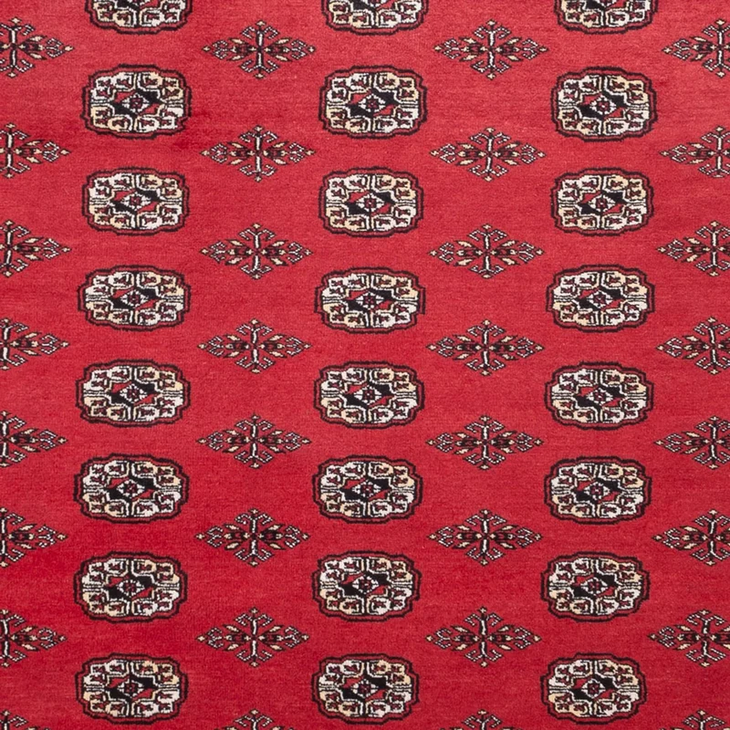 Buchara Teppich 246x305cm - Orientteppich - rot
