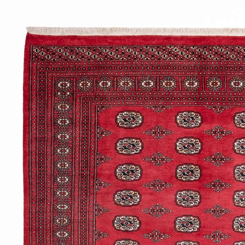 Buchara Teppich 246x305cm - Orientteppich - rot