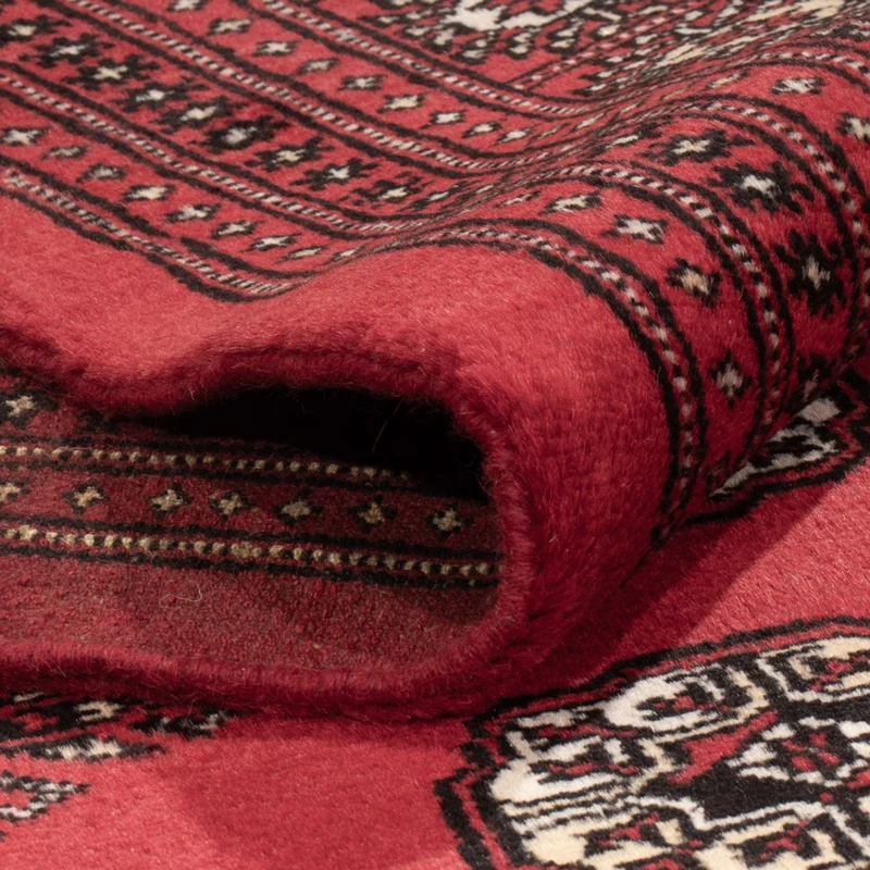 Buchara Teppich 246x305cm - Orientteppich - rot