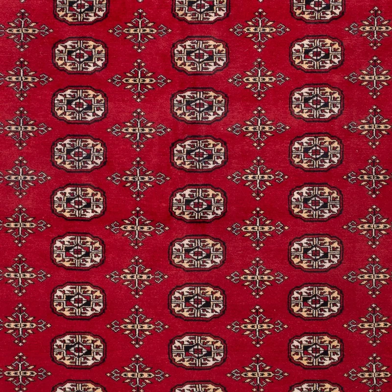 Buchara Teppich 243x308cm - Orientteppich - rot