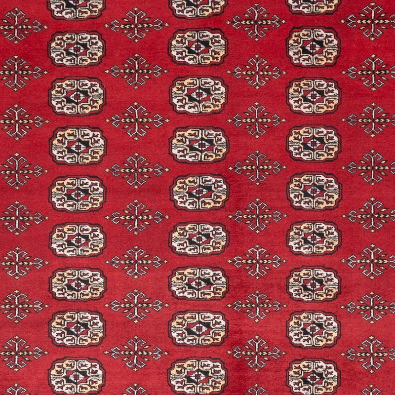 Buchara Teppich 243x298cm - Orientteppich - rot