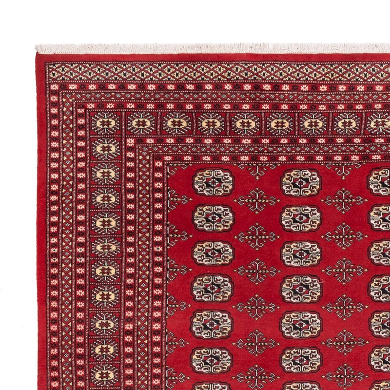 Buchara Teppich 243x298cm - Orientteppich - rot