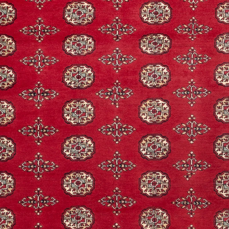 Afghan Teppich - Buchara - 210 x 318 cm - rot