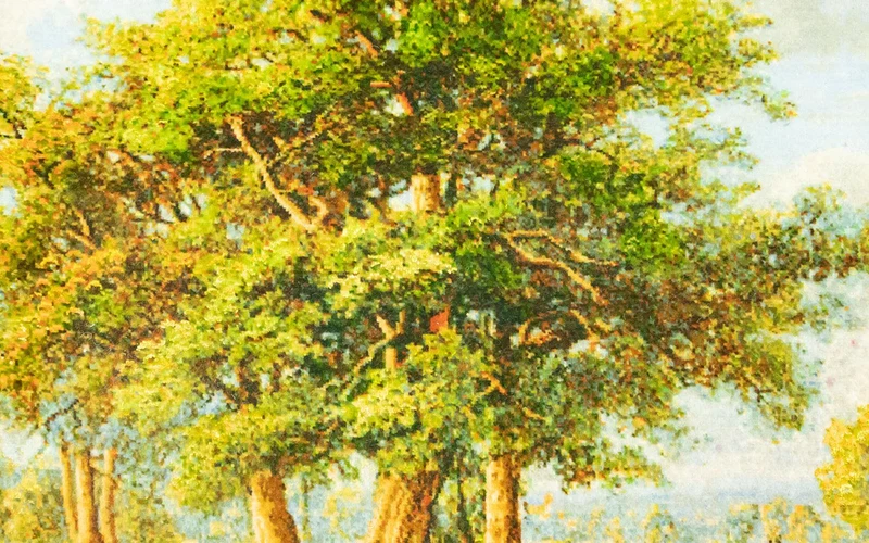 Bild-Teppich 84x116cm - Orientteppich - mehrfarbig