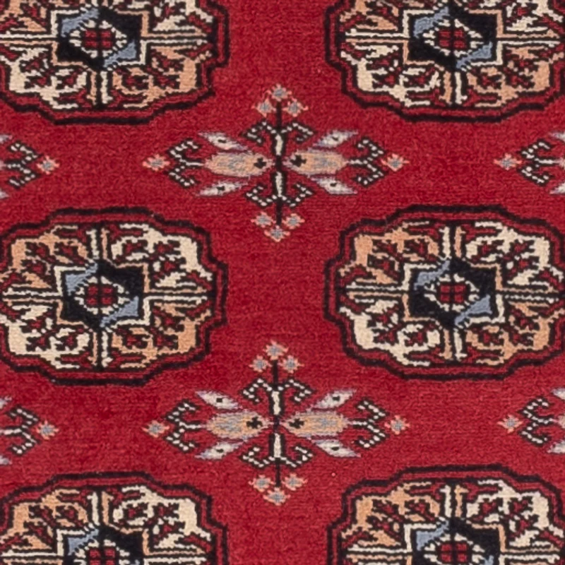 Pakistan Teppich 80x224cm - Orientteppich - rot