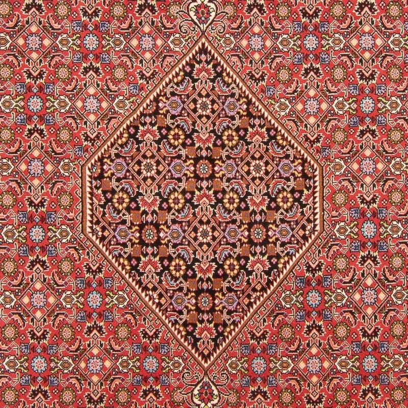 Bidjar - Bukan Teppich 200x294cm - Perserteppich - rot