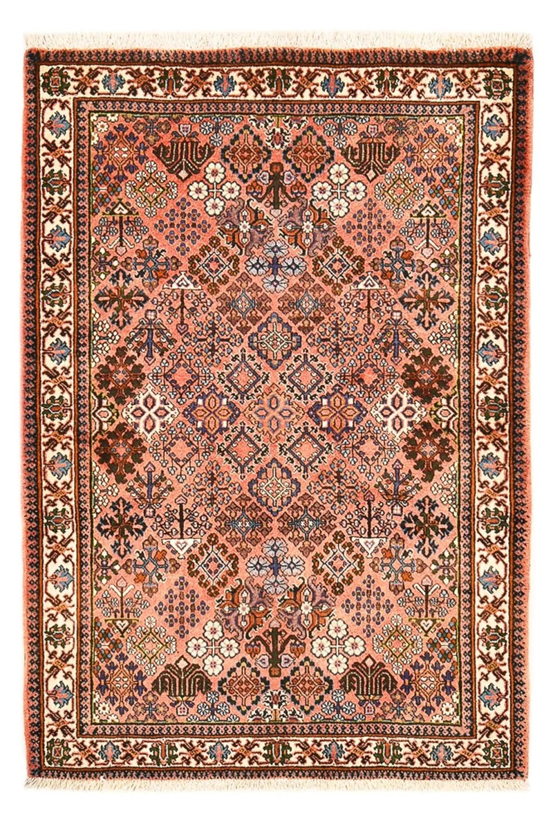 Joshaghan Teppich 108x160cm - Perserteppich - mehrfarbig