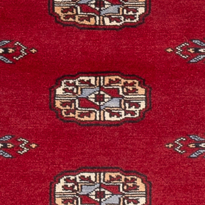 Pakistan Teppich 79x239cm - Orientteppich - rot