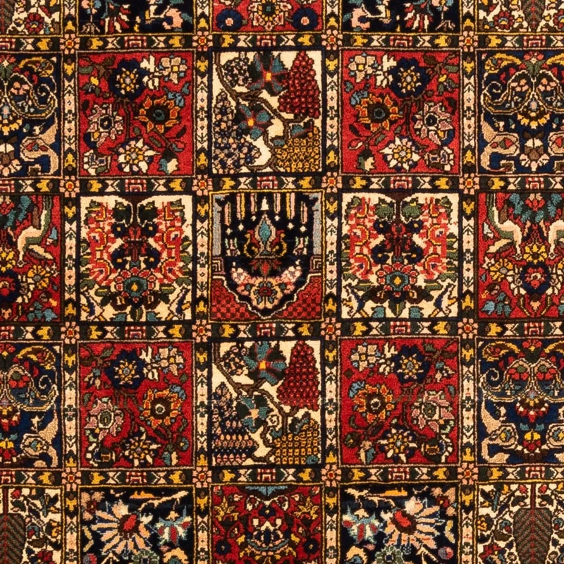 Bachtiar Teppich 155x250cm - Perserteppich - mehrfarbig