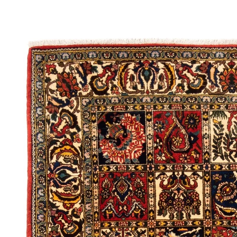 Bachtiar Teppich 155x250cm - Perserteppich - mehrfarbig