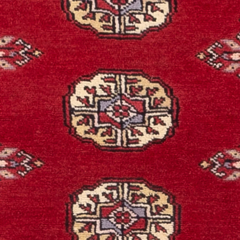 Pakistan Teppich 77x246cm - Orientteppich - rot